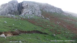 Monte Scuderi